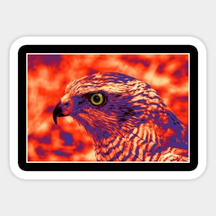 Falcon Head 1 Sticker